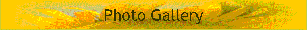 Photo Gallery